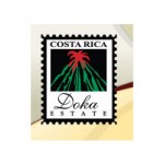 DOKA ESTATE COFFEE TOURS