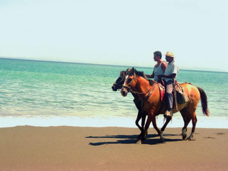 Horse back riding.jpg