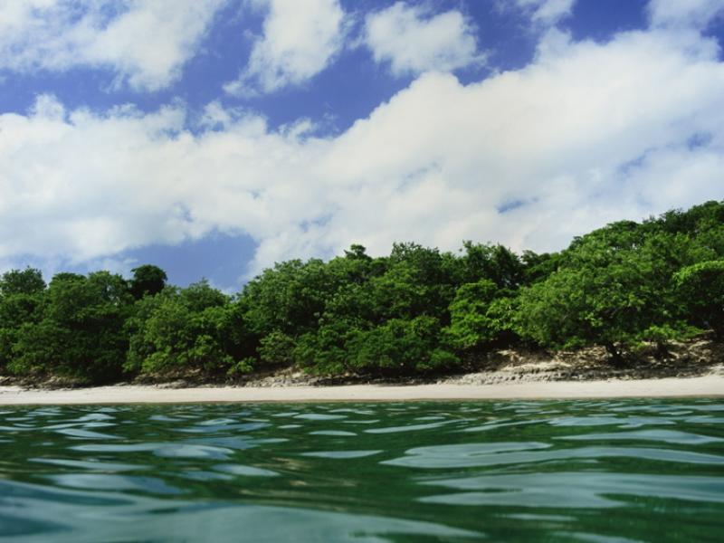 Caribbean.jpg