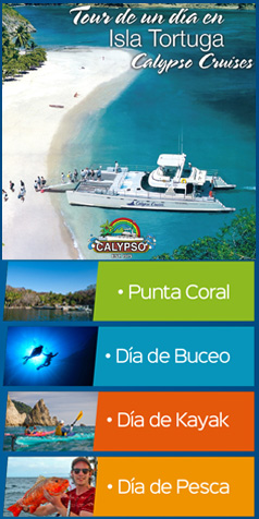 Calypso 